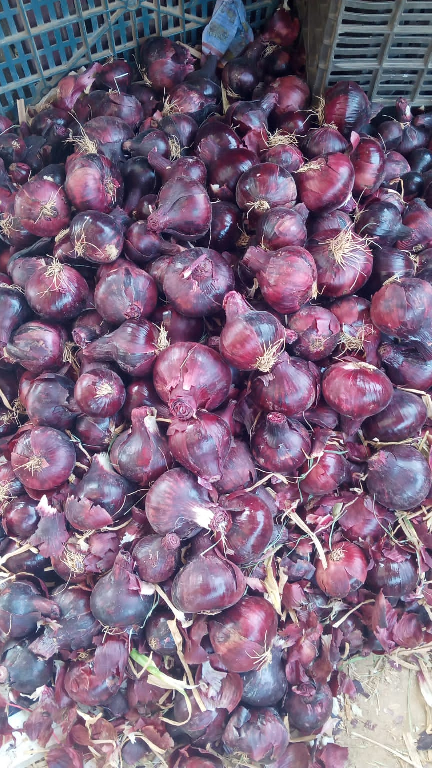 Red Onions